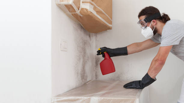 Professional Bathroom Mold Removal technician working in Rockaway, NJ
